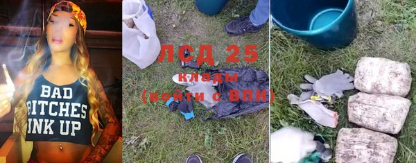 крисы Алзамай