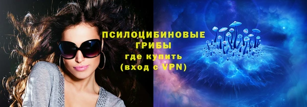 крисы Алзамай