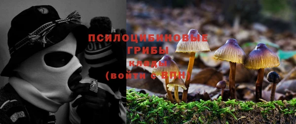 крисы Алзамай