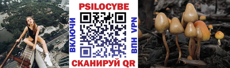 Галлюциногенные грибы Psilocybine cubensis  купить  цена  OMG онион  Чайковский 
