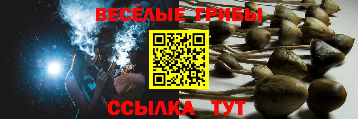 Псилоцибиновые грибы ЛСД Чайковский