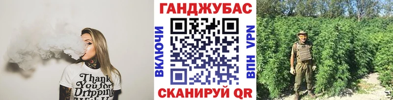 Канабис сатива  Чайковский 